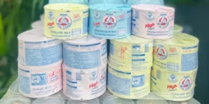 Sữa gấu - Ảnh đại diện